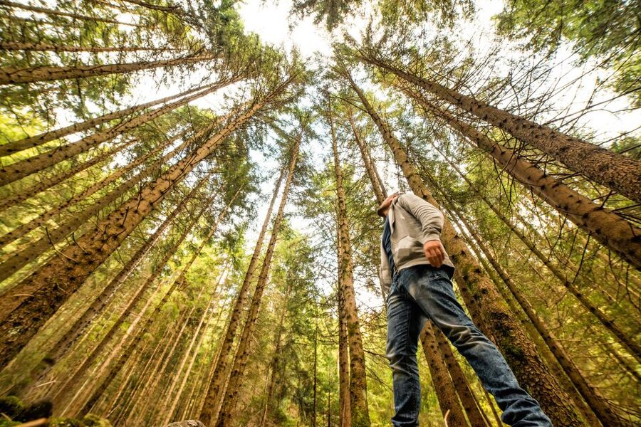 From San Francisco: Guided Muir Woods Excursion - Meeting the Bus: Where to Start in San Francisco and Why It Matters
