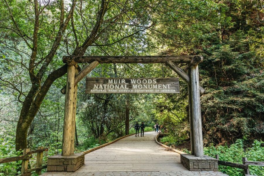 From San Francisco: Guided Muir Woods Tour - Key highlights at a glance