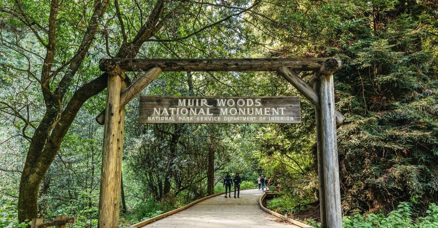From San Francisco: Guided Muir Woods Tour - Why this Muir Woods plus Sausalito combo makes sense