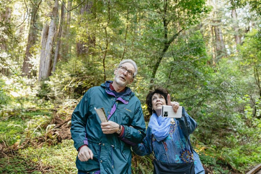 From San Francisco: Guided Muir Woods Tour - Your 1.5-hour window in Muir Woods National Monument