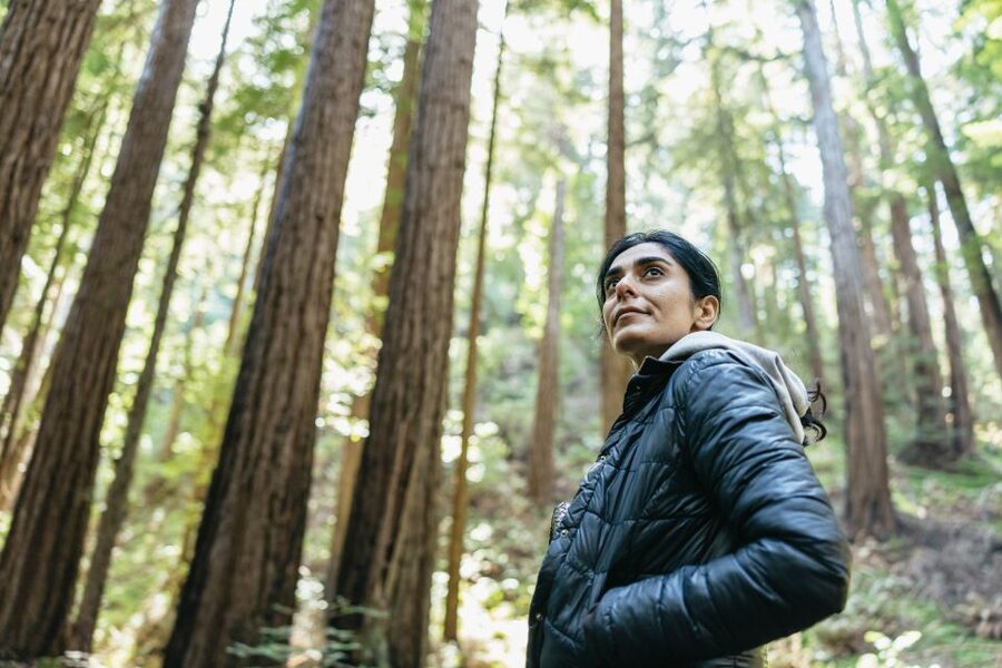 From San Francisco: Guided Muir Woods Tour - 1.5 hours in Muir Woods: how to make the most of limited time