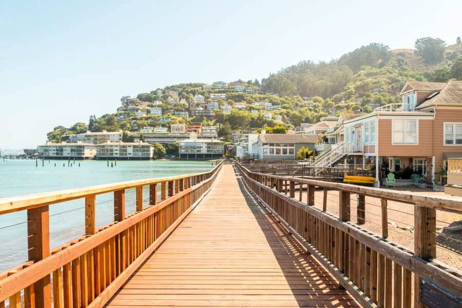 From San Francisco: Guided Tour to Muir Woods - Sausalito for 45 minutes: seaside views, boutiques, and seafood