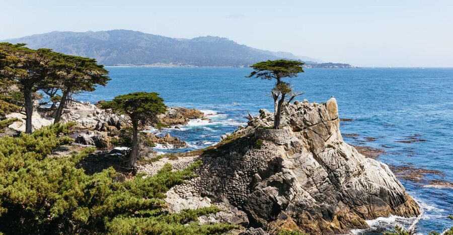 From San Francisco: Monterey and Carmel Day Tour - Meeting the bus in San Francisco without losing time