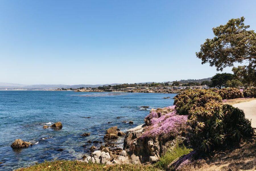From San Francisco: Monterey and Carmel Day Tour - 17-Mile Drive and Pebble Beach: the signature coast moment