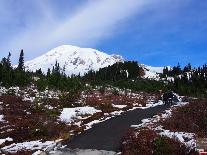 From Seattle: Mount Rainier National Park Guided Tour - Key Highlights Worth Booking For