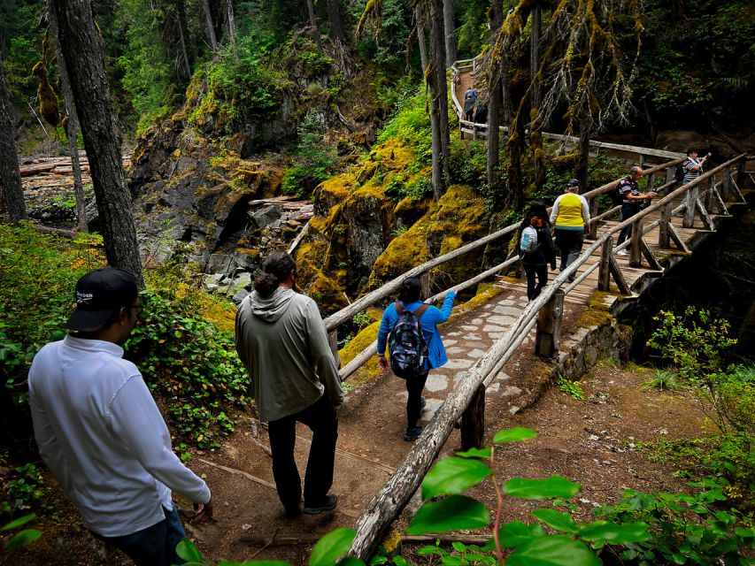 From Seattle: Mount Rainier National Park Guided Tour - Your Comfort Setup: Minibus, Big Windows, and Onboard Guidance
