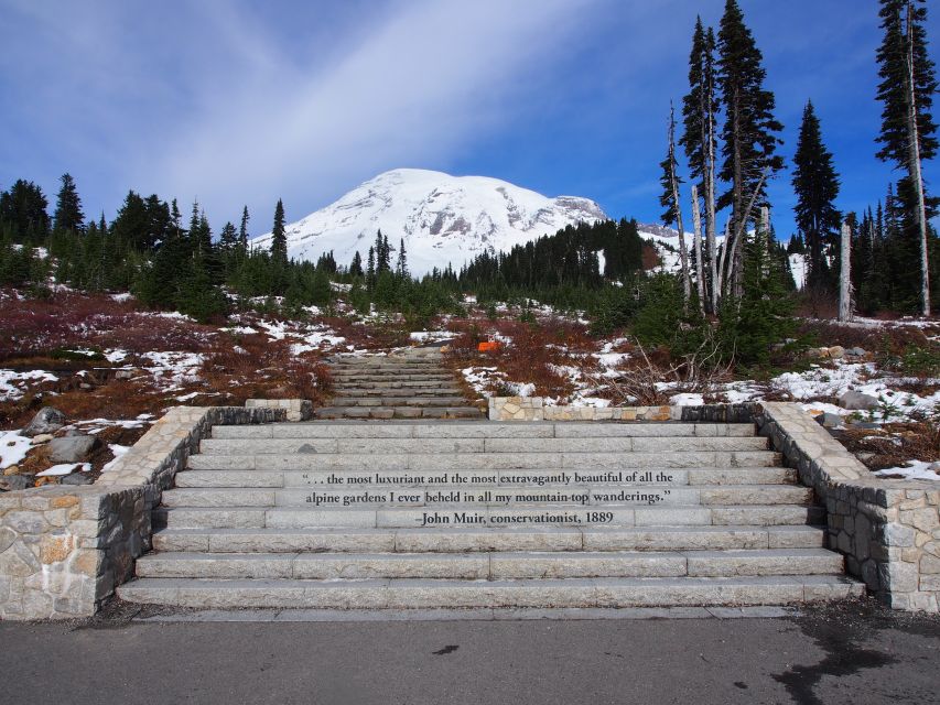 From Seattle: Mount Rainier National Park Guided Tour - Summer Mount Rainier: Old Growth, Wildflowers, Waterfalls