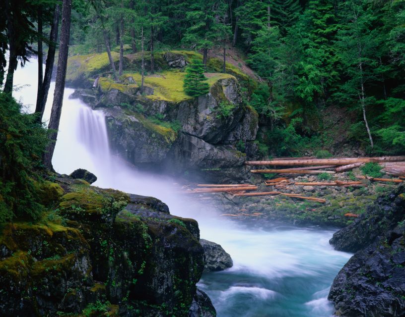 From Seattle: Mount Rainier National Park Guided Tour - Pacing: How Much Walking, How Much Bus Time?