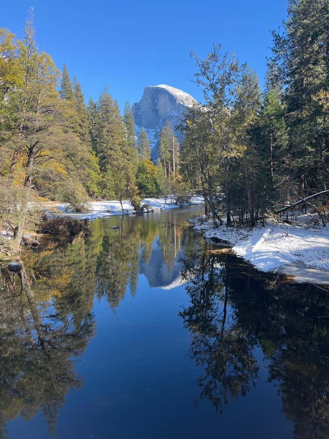From SF: Yosemite Day Trip with Giant Sequoias Hike & Pickup - Half Dome, Yosemite Falls, and how to use your free time well