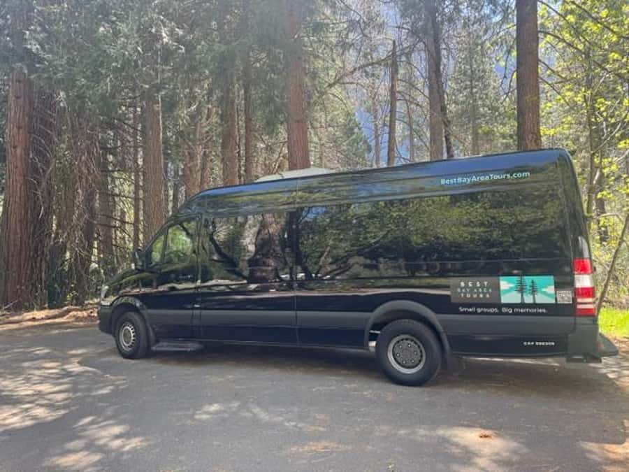 From SF: Yosemite Day Trip with Giant Sequoias Hike & Pickup - The guide and the luxury van, what you actually feel all day