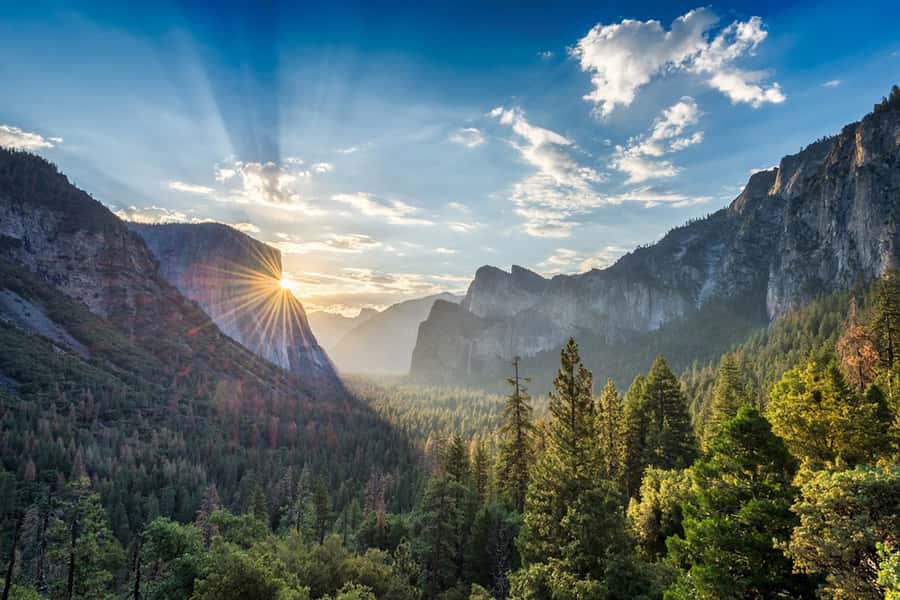 From SF: Yosemite Day Trip with Giant Sequoias Hike & Pickup - Price and logistics, is $239 a good deal for this route?