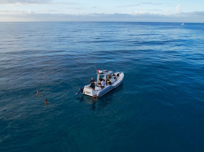 From Waikiki: Turtle Canyon Snorkeling Tour - Safety and spacing: the staff details that matter more than you think