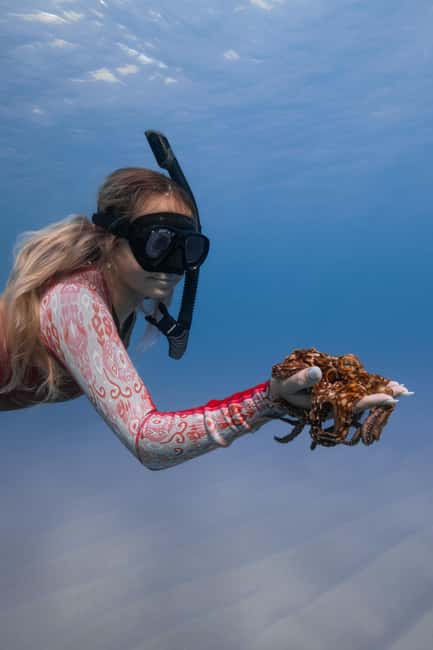 From Waikiki: Turtle Canyon Snorkeling Tour - Who this tour suits, and who should think twice