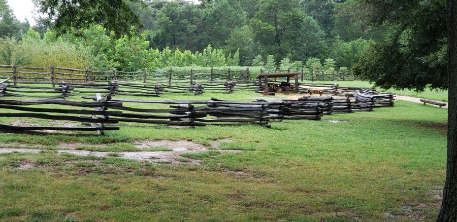 From Washington DC: Old Town Alexandria & Mount Vernon Tour - Lunch at the Mt Vernon Food Court: timing matters