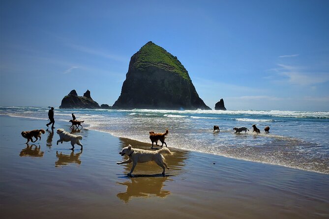 Full-Day Guided Oregon Coast Tour from Portland - Indian Beach and the Temperate Rainforest Walk Options