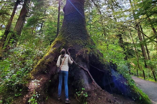 Full-Day Guided Oregon Coast Tour from Portland - Cannon Beach: Lunch, Shops, and a True Break From the Road