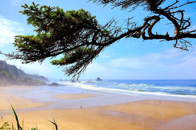 Full-Day Guided Oregon Coast Tour from Portland - Haystack Rock and Tide Pools: Where the Coast Turns Into a Living Classroom