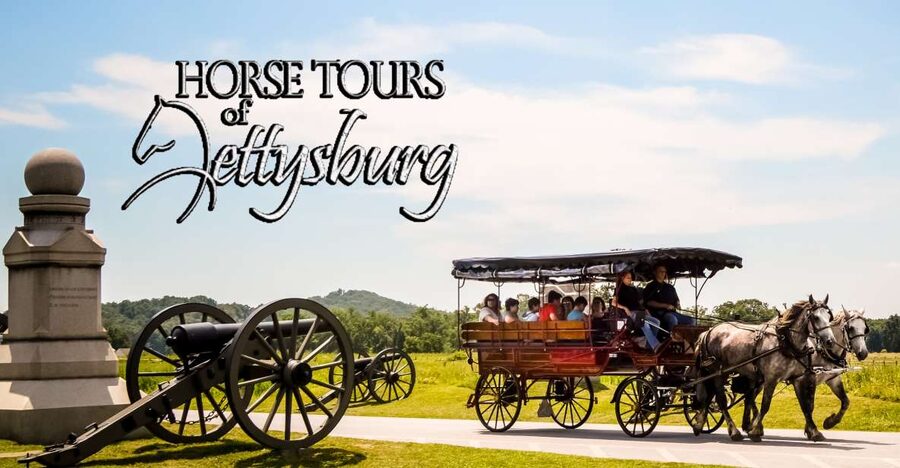Gettysburg: Horse-Drawn Carriage Battlefield Tour - The guide experience: asking questions, hearing both sides, and staying interactive