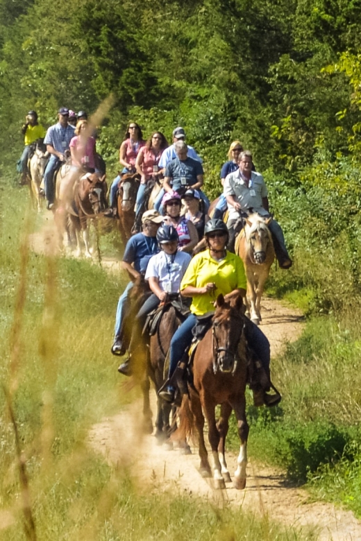 Gettysburg: Licensed Guided Battlefield Horseback Tour - Why Gettysburg On Horseback Feels Like a New Way to Understand the Battle