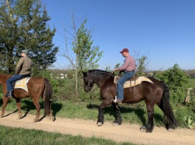 Licensed Guided Battlefield Horseback Tour