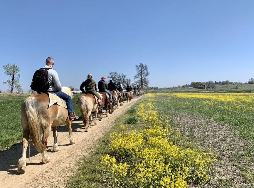 Gettysburg: Licensed Guided Battlefield Horseback Tour - Spangler Farm Views of Little Round Top and the Peach Orchard