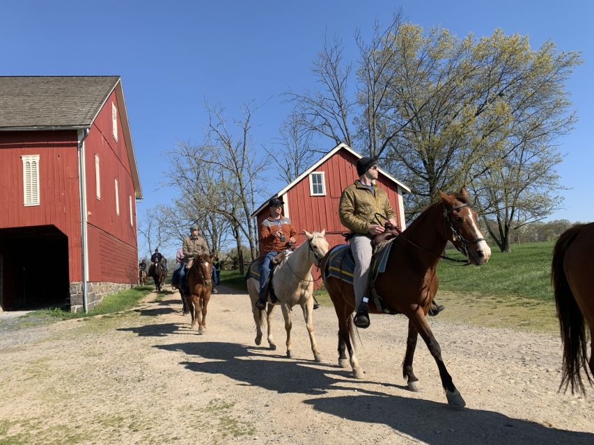 Gettysburg: Licensed Guided Battlefield Horseback Tour - Trostle Farm and the Cannonball Hole You Can Actually See