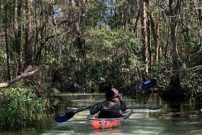Glass Bottom Kayak Eco Tour through Rainbow Springs - Clear Kayak Magic at KP Hole Park