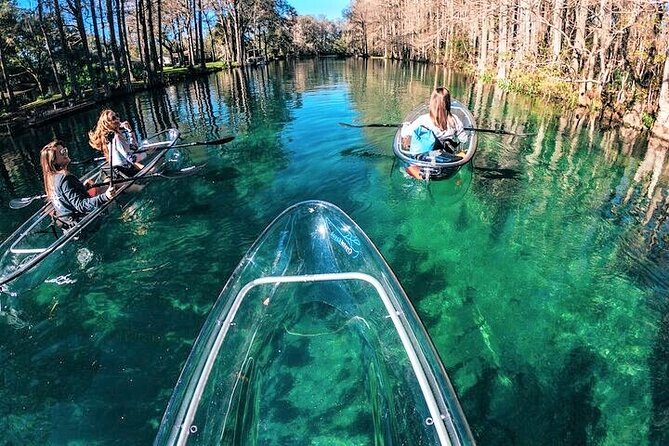 Glass Bottom Kayak Eco Tour through Rainbow Springs - The Real-World Itinerary Feel: Pacing and Stops