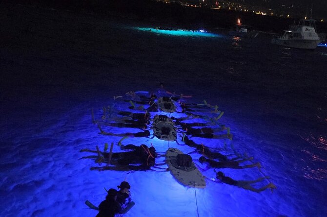 Glow of the Deep: Night Snorkeling with Manta Rays - Key takeaways before you go