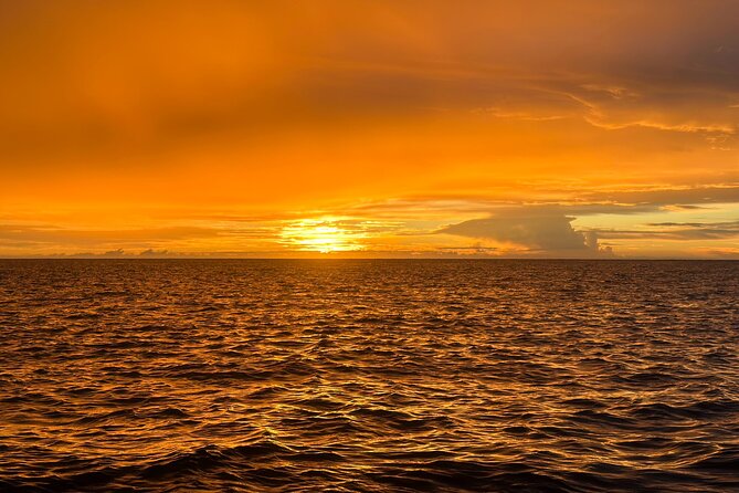 Glow of the Deep: Night Snorkeling with Manta Rays - Stop 1: Ocean Encounters, the Part You Came For