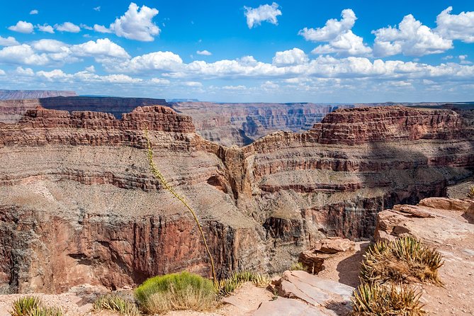 Grand Canyon West Bus Tour with Hoover Dam and Optional Skywalk - The drive through Joshua Tree Forest and Mojave Desert
