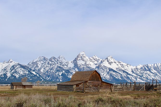 Grand Teton Half Day Tour - Key highlights at a glance