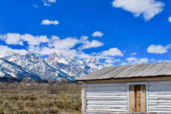 Grand Teton Half Day Tour - Oxbow Bend and Jackson Lake: the classic Teton photo machine
