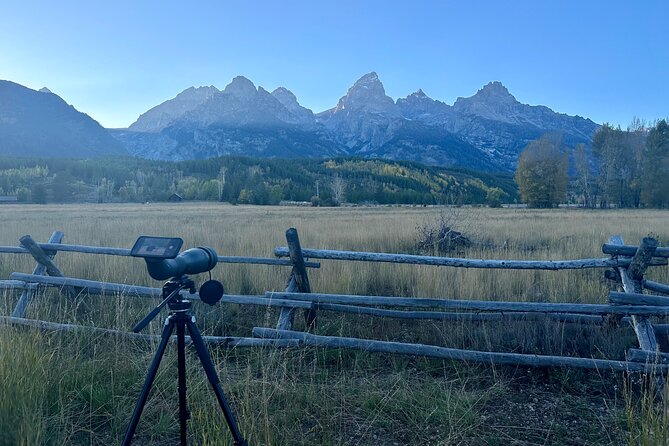 Grand Teton Half Day Tour - Price and value: what $149 gets you, and what it does not