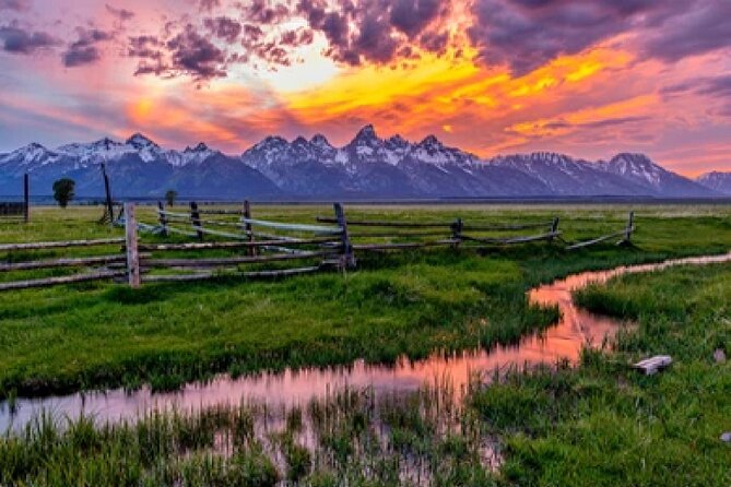 Grand Teton Wildlife Safari in a Enclosed or Open-Air Vehicle (season dependent) - Key things to know before you go