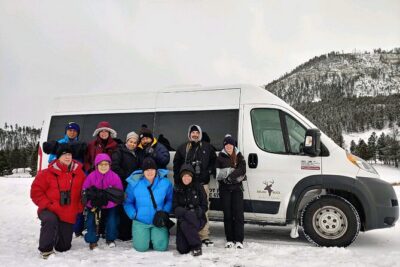 Grand Teton Wildlife Safari in a Enclosed or Open-Air Vehicle (season dependent)