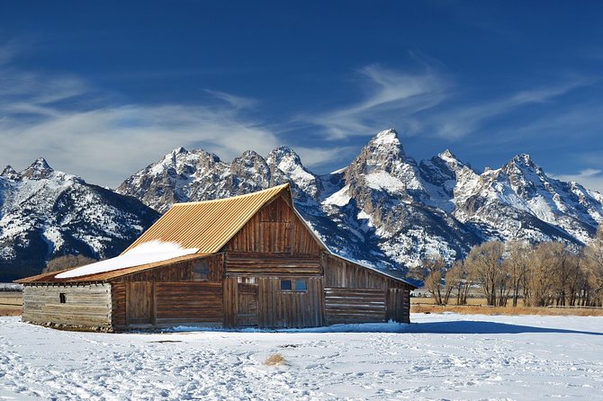 Grand Teton Wildlife Safari in a Enclosed or Open-Air Vehicle (season dependent) - Mormon Row barns for iconic photos, with season rules you should know