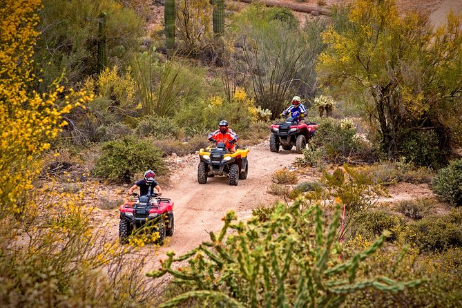 Guided Arizona Desert Tour by ATV - Centipede Tour - Key Points to Know Before You Go