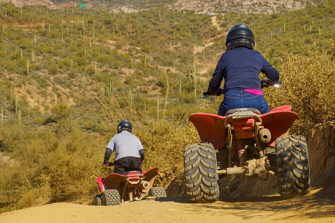 Guided Arizona Desert Tour by ATV - Centipede Tour - Why This ATV Tour Feels Like Real Desert Time