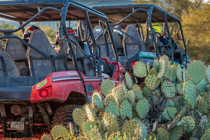 Guided Arizona Desert Tour by UTV - Centipede Tour - What actually happens after you check in
