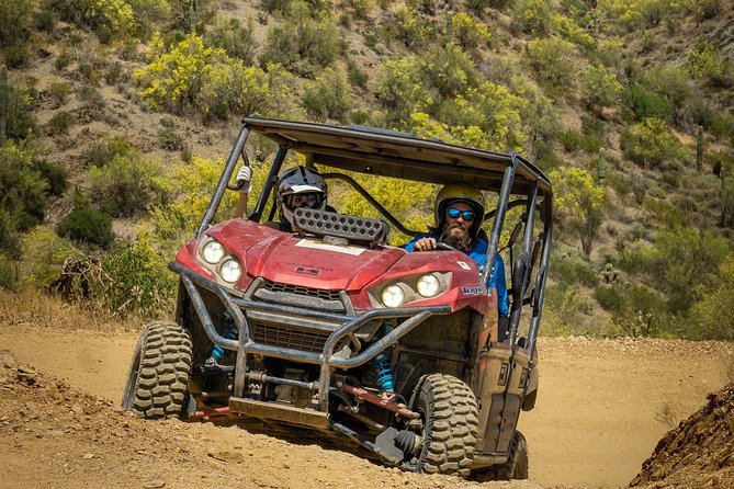 Guided Arizona Desert Tour by UTV - Centipede Tour - Wildlife spotting you can actually try, and what to expect