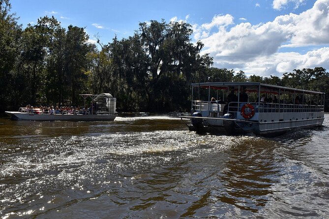 Guided Boat Tour of New Orleans Bayou - Cypress swamp scenery, from Lafitte marsh to alligator spotting