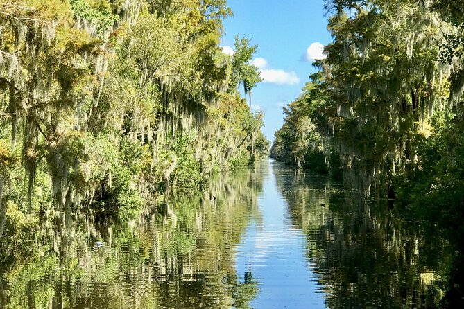 Guided Boat Tour of New Orleans Bayou - Price check: $35 for 1.5 hours with guide, boat, and optional pickup