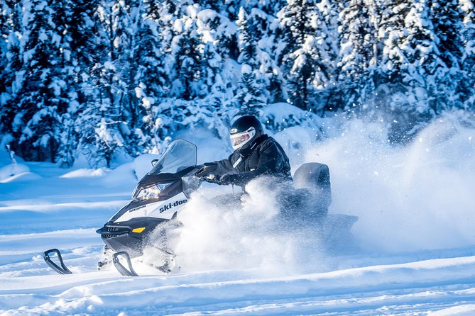 Guided Fairbanks Snowmobile Tour - Entering Rod’s Alaskan Guide Service: Gear Up and Get Your Bearings