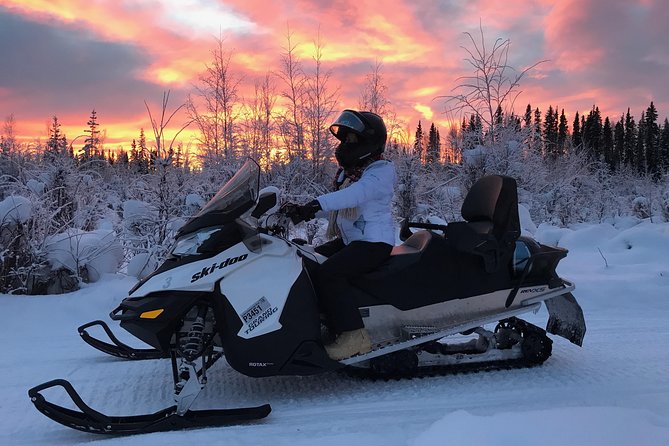 Guided Fairbanks Snowmobile Tour - Wildlife Spotting: A Snowmobile Ride With More Than Just Speed
