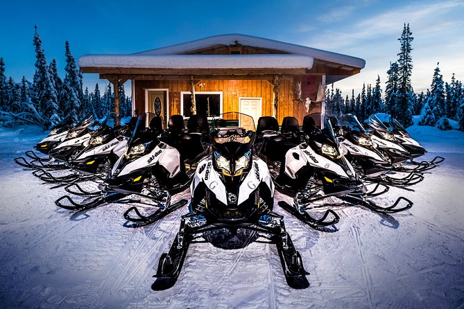 Guided Fairbanks Snowmobile Tour - Who This Tour Fits Best (And Who Might Want Something Else)