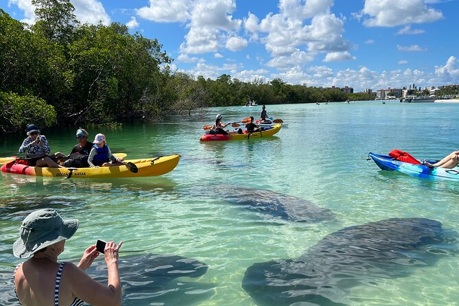 Guided Island EcoTour: CLEAR/Standard Kayak, SUP - Bonita Springs - Key things I’d watch for before you go