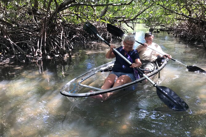 Guided Island EcoTour: CLEAR/Standard Kayak, SUP - Bonita Springs - Tides and wind: the two factors that really shape your day