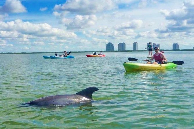 Guided Island EcoTour: CLEAR/Standard Kayak, SUP - Bonita Springs - What to pack: stay comfortable, not brave