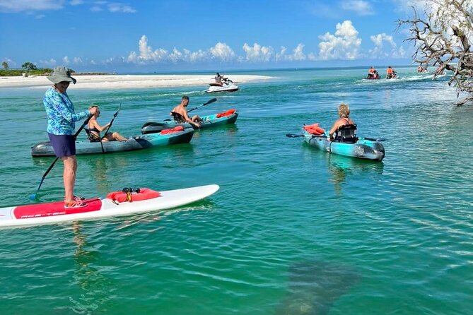 Guided Island EcoTour: CLEAR/Standard Kayak, SUP - Bonita Springs - Price and value: $50 for a guided paddling outing with photos